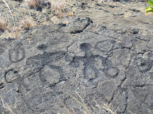 P1060616 (02-19-2017 12:32)