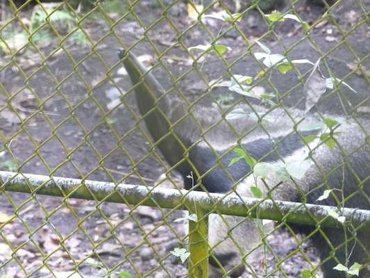 P1060625 (02-20-2017 10:41)