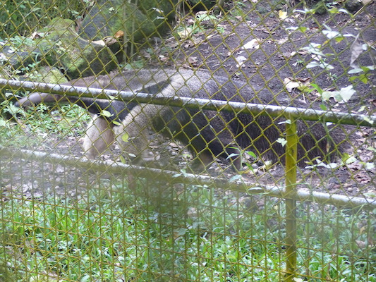 P1060627 (02-20-2017 10:41)