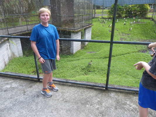 P1060630 (02-20-2017 10:44)