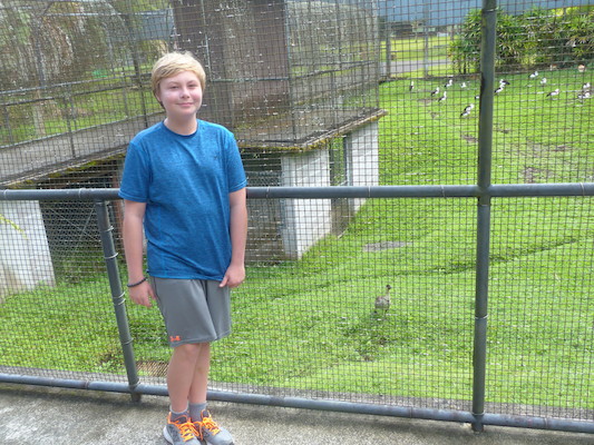 P1060631 (02-20-2017 10:44)