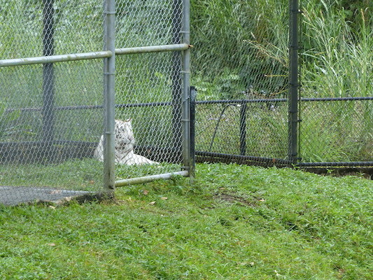 P1060635 (02-20-2017 11:20)