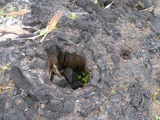 P1060639 (02-20-2017 13:08)