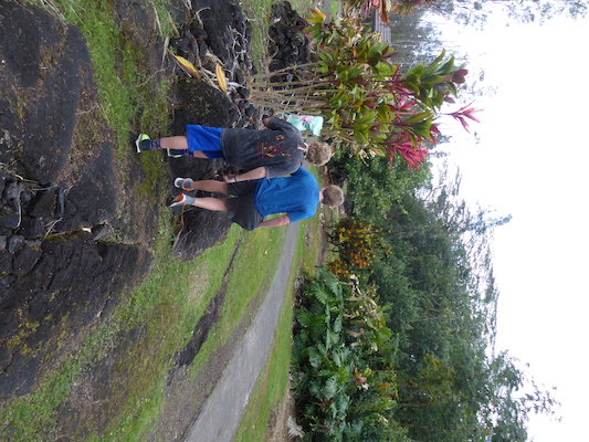 P1060640 (02-20-2017 13:08)