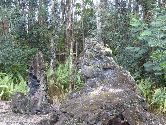 P1060641 (02-20-2017 13:12)