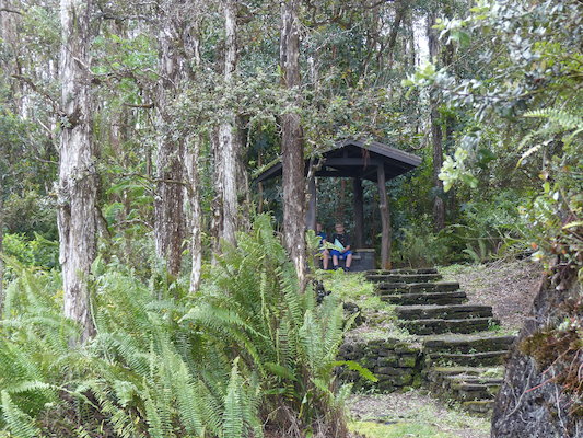 P1060644 (02-20-2017 13:15)