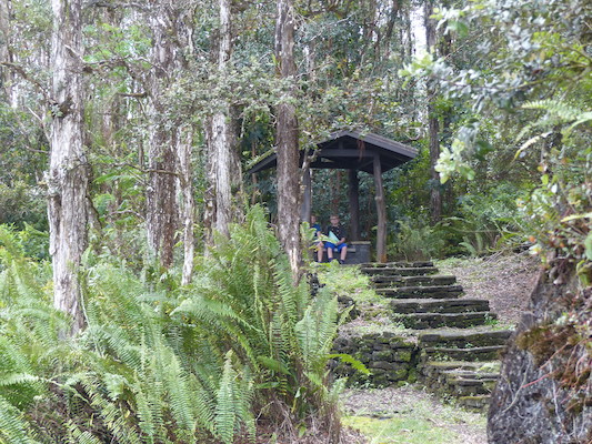 P1060645 (02-20-2017 13:15)