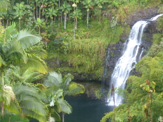 P1060646 (02-22-2017 07:46)