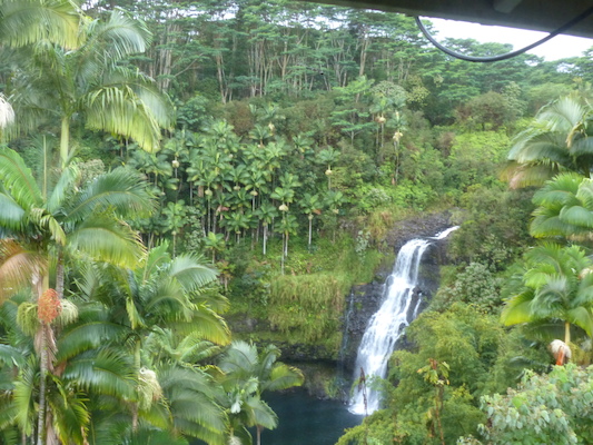 P1060647 (02-22-2017 07:46)