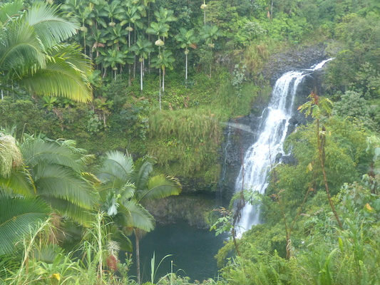 P1060648 (02-22-2017 07:51)