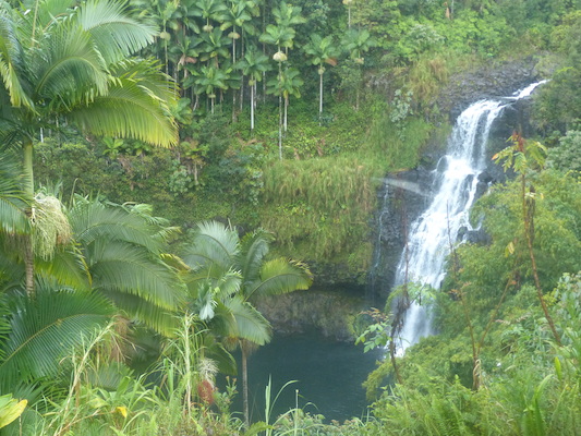 P1060649 (02-22-2017 07:51)