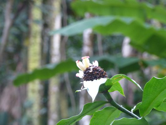 P1060656 (02-22-2017 11:30)