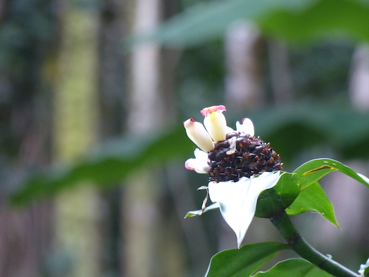 P1060657 (02-22-2017 11:30)