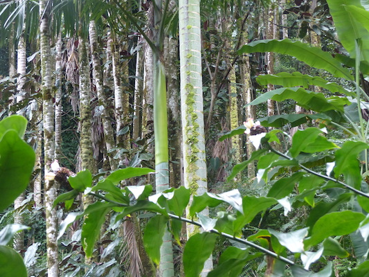 P1060658 (02-22-2017 11:30)