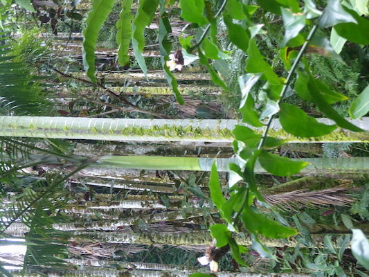 P1060659 (02-22-2017 11:30)