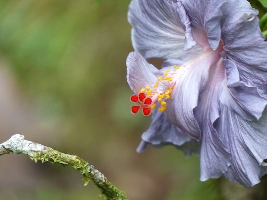 P1060665 (02-22-2017 11:32)