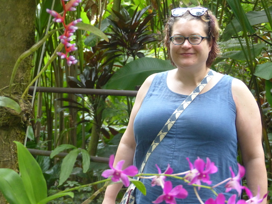 P1060670 (02-22-2017 11:34)