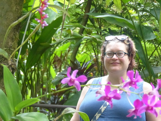 P1060671 (02-22-2017 11:34)