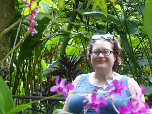 P1060672 (02-22-2017 11:34)