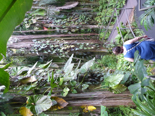 P1060673 (02-22-2017 11:35)