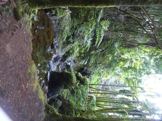 P1060675 (02-22-2017 11:36)