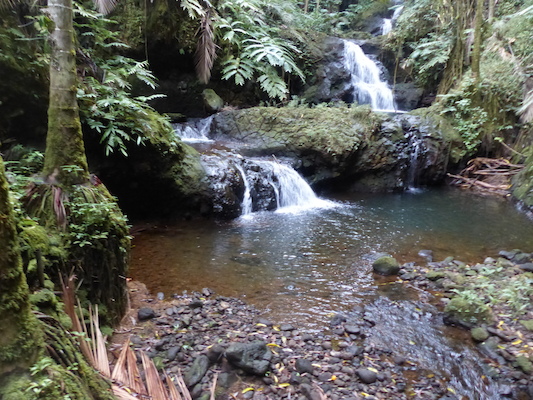 P1060679 (02-22-2017 11:37)