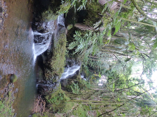 P1060681 (02-22-2017 11:38)