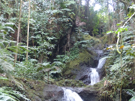 P1060682 (02-22-2017 11:38)