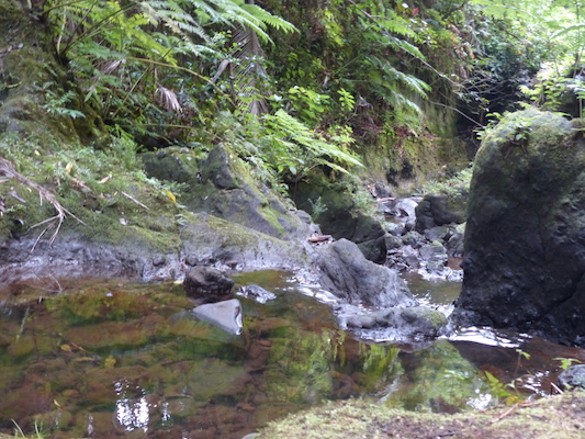 P1060683 (02-22-2017 11:38)