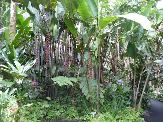 P1060684 (02-22-2017 11:40)