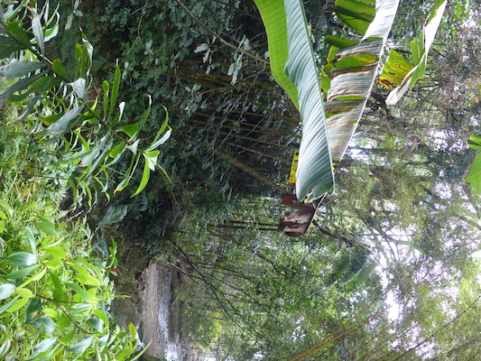 P1060686 (02-22-2017 11:40)