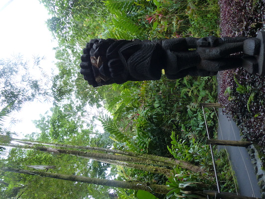 P1060689 (02-22-2017 11:42)