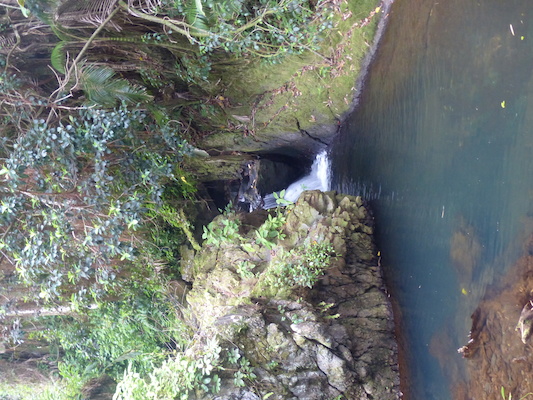 P1060691 (02-22-2017 11:43)