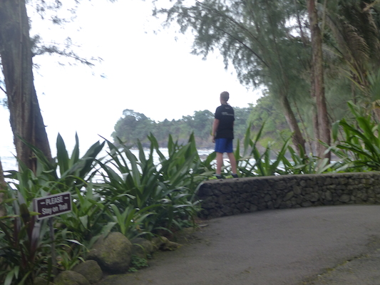 P1060692 (02-22-2017 11:54)