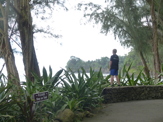 P1060693 (02-22-2017 11:54)