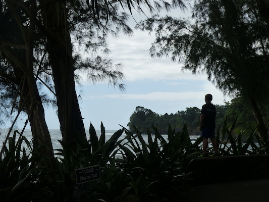 P1060694 (02-22-2017 11:54)