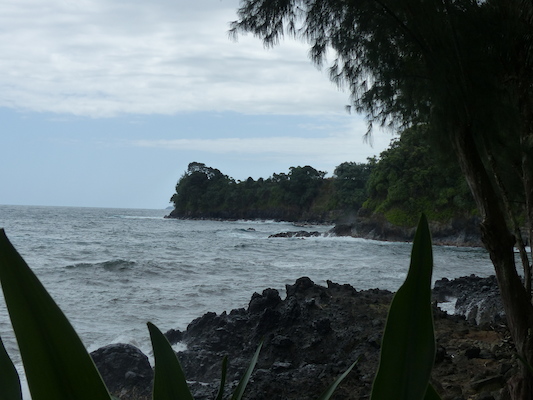 P1060695 (02-22-2017 11:56)