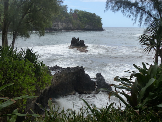 P1060696 (02-22-2017 11:58)