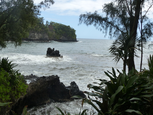 P1060697 (02-22-2017 11:58)