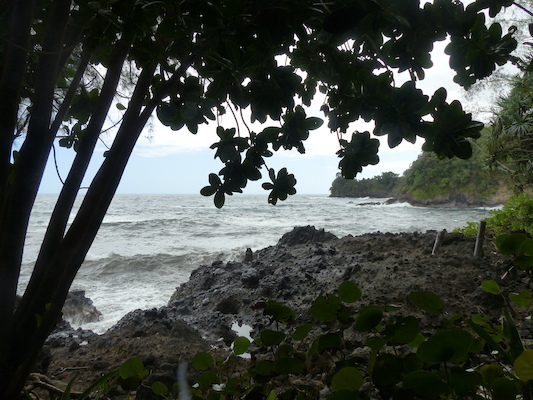 P1060698 (02-22-2017 11:59)