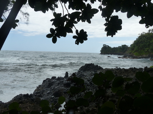 P1060699 (02-22-2017 11:59)