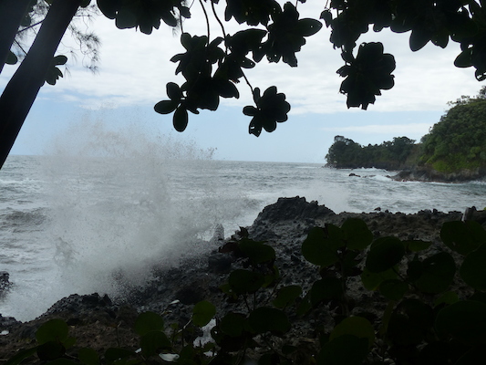 P1060700 (02-22-2017 11:59)