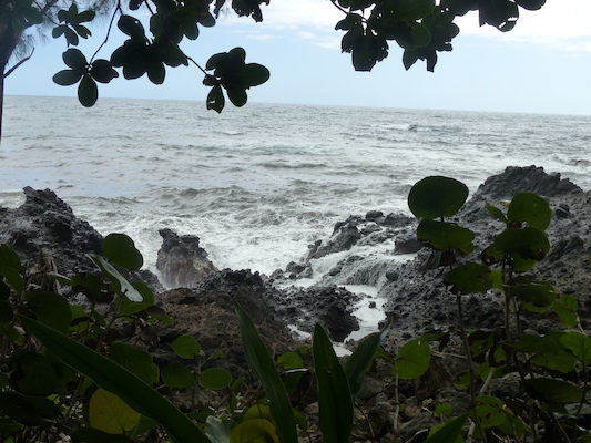 P1060701 (02-22-2017 12:00)