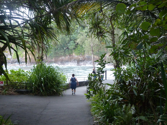 P1060702 (02-22-2017 12:00)