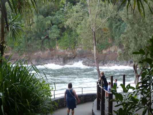 P1060703 (02-22-2017 12:00)