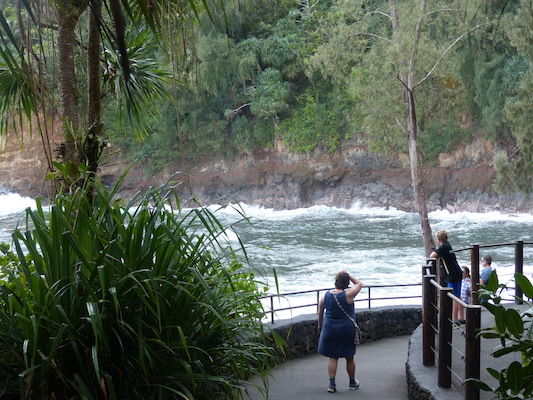 P1060704 (02-22-2017 12:00)