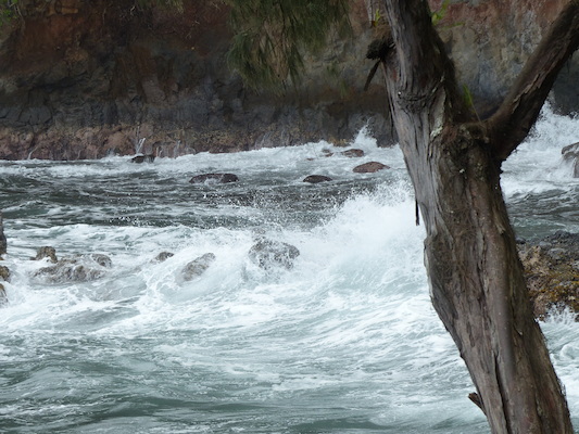 P1060705 (02-22-2017 12:01)