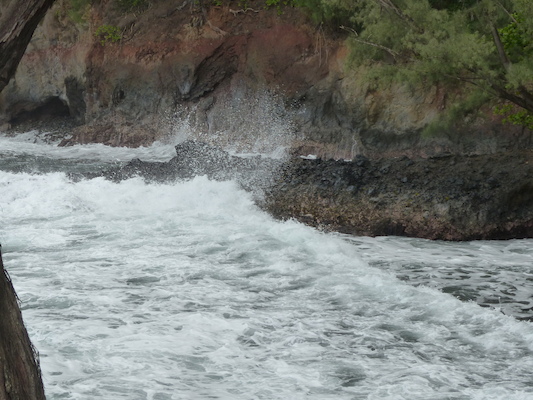 P1060706 (02-22-2017 12:01)