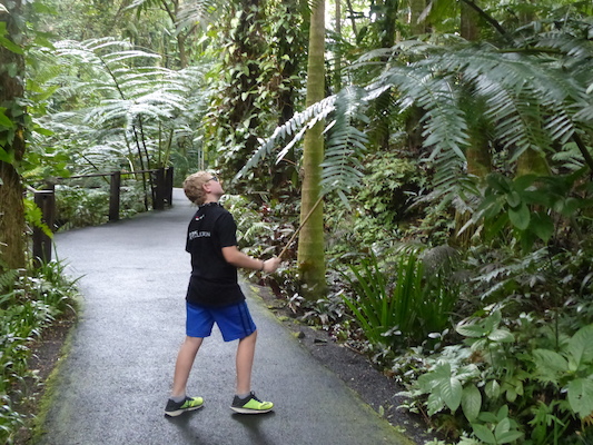 P1060707 (02-22-2017 12:03)