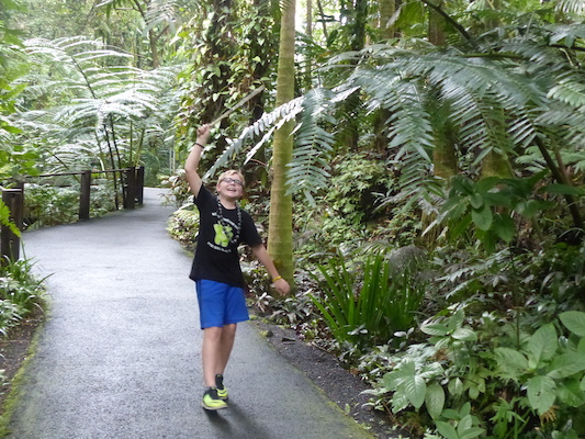 P1060708 (02-22-2017 12:03)